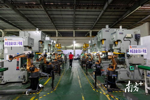 阳晨厨具 小铁锅闯出大市场背后的品质革命与集群战法